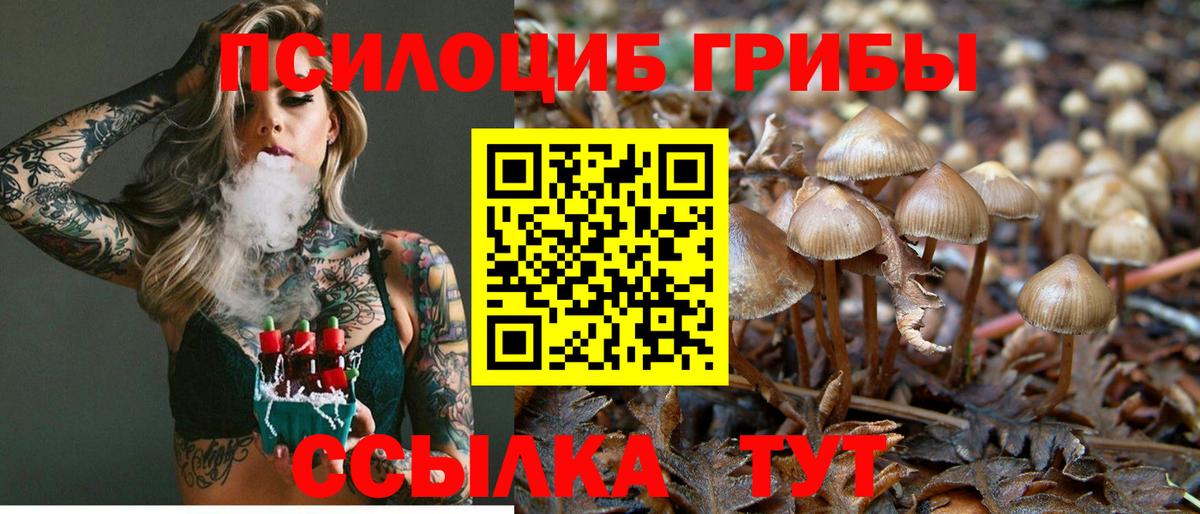 Железноводск  Галлюциногенные грибы Magic Shrooms  наркотики  Вход с VPN  Галлюциногенные грибы прущие грибы 